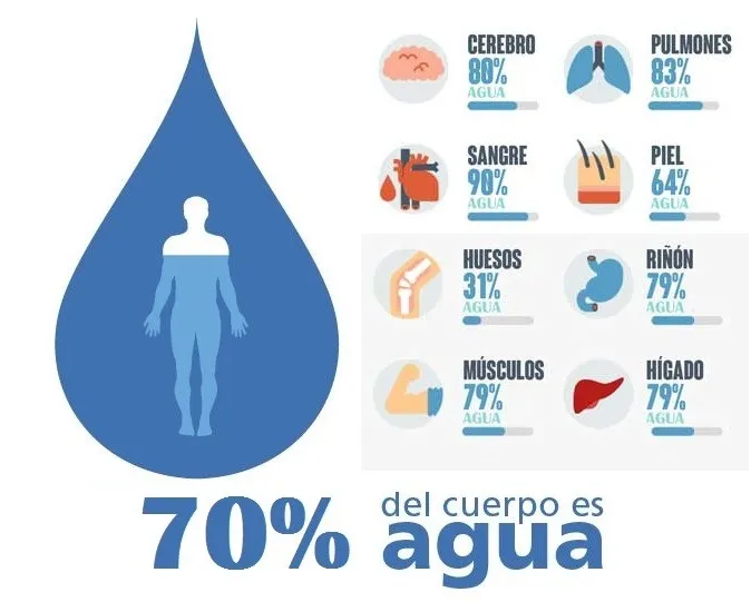 ¿Por Qué debemos Consumir Agua Todos los Días?