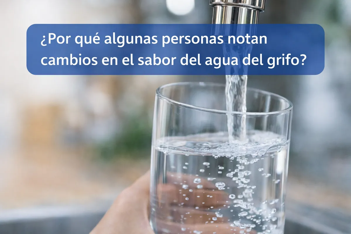 ¿Por qué algunas personas notan cambios en el sabor del agua del grifo?
